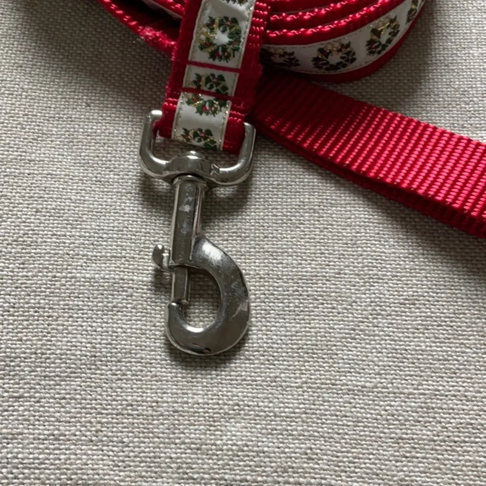 Dog Collar and Leash